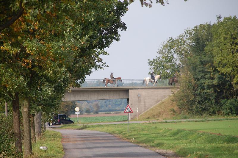 Tagesausritt Oktober 2008025.JPG